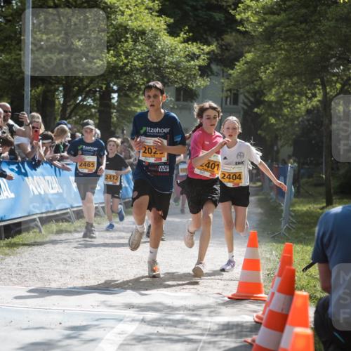 09.05.2026 - Störlauf H.Heesch http://msf.ph/oto/9678512 09.05.2026 15:29:34 Ziel 202, 2465, 2412, 223, 401, 2404 meine-sportfotos.de