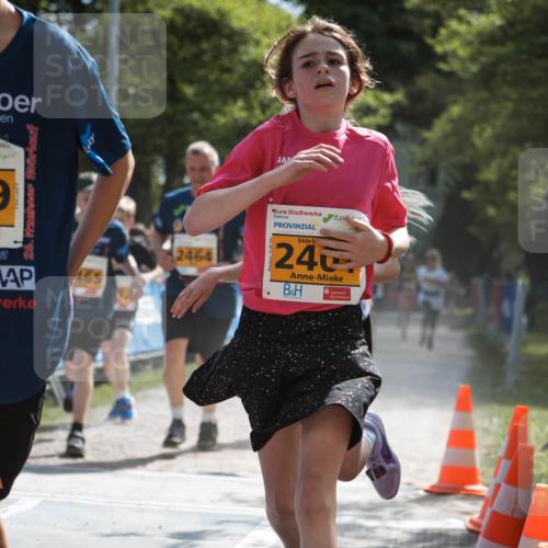 09.05.2026 - Störlauf H.Heesch http://msf.ph/oto/9678518 09.05.2026 15:29:35 Ziel 2026, 2029, 465, 2464, 24 meine-sportfotos.de