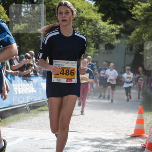 09.05.2026 - Störlauf H.Heesch http://msf.ph/oto/9678526 09.05.2026 15:29:37 Ziel 2026, 464, 2026, 486, 22 meine-sportfotos.de