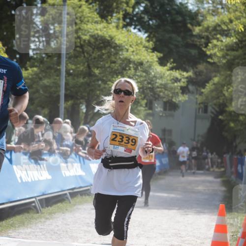 09.05.2026 - Störlauf H.Heesch http://msf.ph/oto/9678539 09.05.2026 15:29:42 Ziel 2026, 2458, 2026, 2339 meine-sportfotos.de