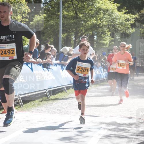 09.05.2026 - Störlauf H.Heesch http://msf.ph/oto/9678677 09.05.2026 15:30:26 Ziel 2026, 2492, 2201, 2131, 2188 meine-sportfotos.de