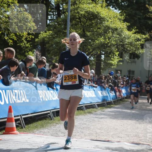 09.05.2026 - Störlauf H.Heesch http://msf.ph/oto/9678823 09.05.2026 15:31:16 Ziel 2388 meine-sportfotos.de