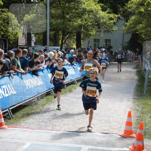 09.05.2026 - Störlauf H.Heesch http://msf.ph/oto/9678869 09.05.2026 15:31:43 Ziel 22, 04821, 95180, 1961, 2279, 2204, 2178 meine-sportfotos.de