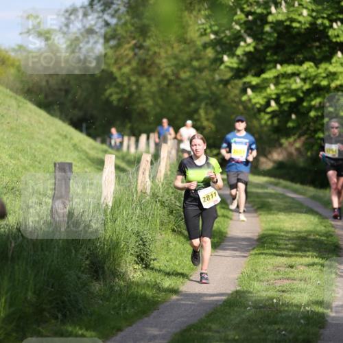 09.05.2026 - Störlauf Andreas Tolksdorf http://msf.ph/oto/9686530 09.05.2026 16:18:42 Laufen 2811, 2607, 4754 meine-sportfotos.de