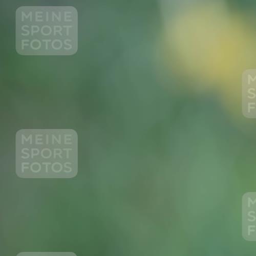 09.05.2026 - Störlauf Andreas Tolksdorf http://msf.ph/oto/9689102 09.05.2026 15:43:05 Laufen  meine-sportfotos.de