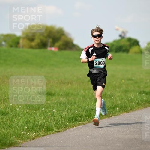 10.05.2026 - 8. Wedeler Halbmarathon Dr. Thomas Lammeyer http://msf.ph/oto/9691944 10.05.2026 11:14:39 Laufen 2080 meine-sportfotos.de