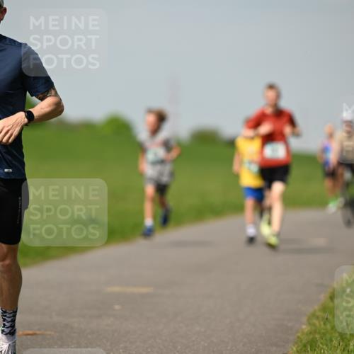 10.05.2026 - 8. Wedeler Halbmarathon Dr. Thomas Lammeyer http://msf.ph/oto/9692497 10.05.2026 11:15:53 Laufen 684 meine-sportfotos.de