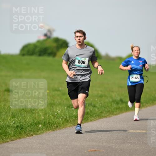 10.05.2026 - 8. Wedeler Halbmarathon Dr. Thomas Lammeyer http://msf.ph/oto/9692830 10.05.2026 11:16:29 Laufen 808, 2165 meine-sportfotos.de