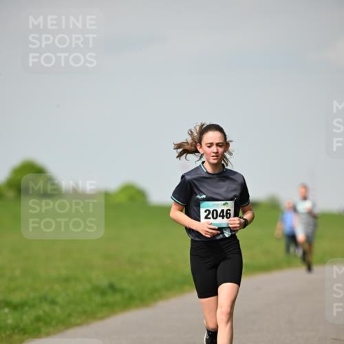 10.05.2026 - 8. Wedeler Halbmarathon Dr. Thomas Lammeyer http://msf.ph/oto/9693172 10.05.2026 11:17:21 Laufen 2046 meine-sportfotos.de