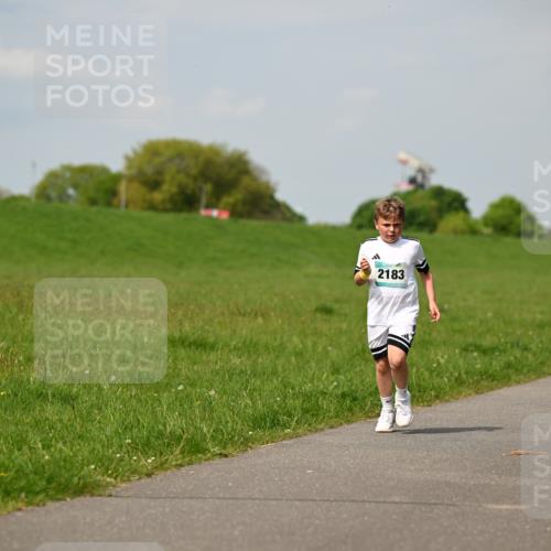 10.05.2026 - 8. Wedeler Halbmarathon Dr. Thomas Lammeyer http://msf.ph/oto/9693628 10.05.2026 11:18:14 Laufen 2183 meine-sportfotos.de