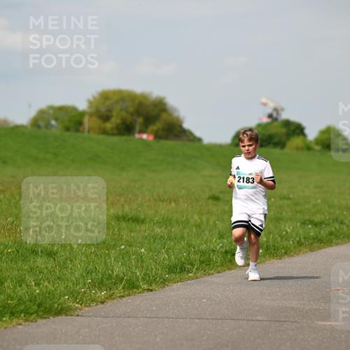 10.05.2026 - 8. Wedeler Halbmarathon Dr. Thomas Lammeyer http://msf.ph/oto/9693633 10.05.2026 11:18:14 Laufen 2183 meine-sportfotos.de