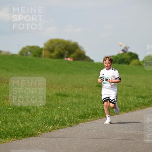 10.05.2026 - 8. Wedeler Halbmarathon Dr. Thomas Lammeyer http://msf.ph/oto/9693638 10.05.2026 11:18:15 Laufen 2182 meine-sportfotos.de