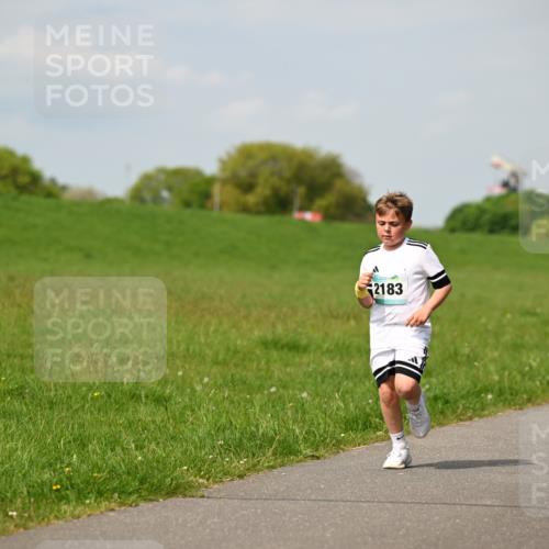 10.05.2026 - 8. Wedeler Halbmarathon Dr. Thomas Lammeyer http://msf.ph/oto/9693648 10.05.2026 11:18:15 Laufen 2183 meine-sportfotos.de