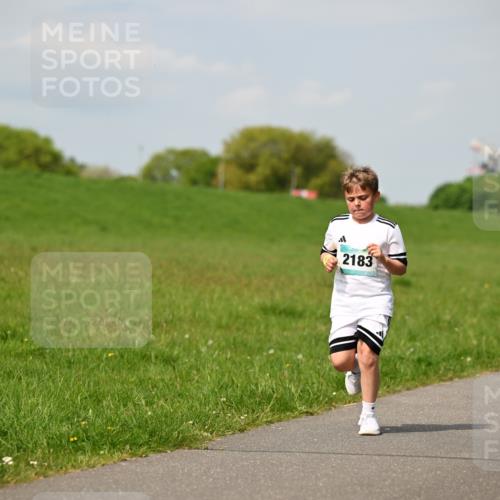 10.05.2026 - 8. Wedeler Halbmarathon Dr. Thomas Lammeyer http://msf.ph/oto/9693654 10.05.2026 11:18:16 Laufen 2183 meine-sportfotos.de