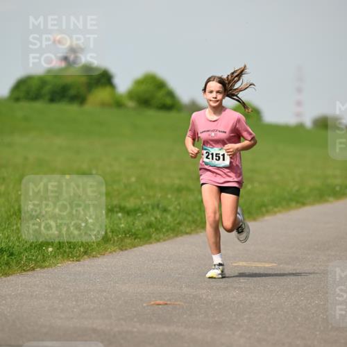 10.05.2026 - 8. Wedeler Halbmarathon Dr. Thomas Lammeyer http://msf.ph/oto/9693732 10.05.2026 11:18:22 Laufen 2151 meine-sportfotos.de