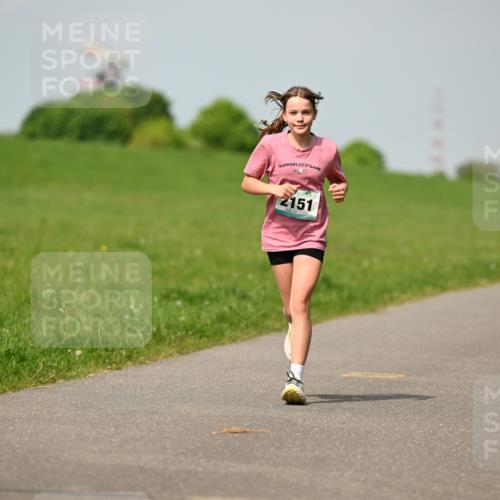10.05.2026 - 8. Wedeler Halbmarathon Dr. Thomas Lammeyer http://msf.ph/oto/9693736 10.05.2026 11:18:22 Laufen 2151 meine-sportfotos.de