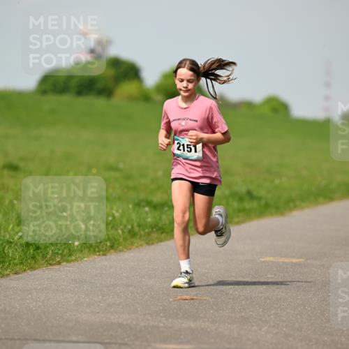 10.05.2026 - 8. Wedeler Halbmarathon Dr. Thomas Lammeyer http://msf.ph/oto/9693744 10.05.2026 11:18:23 Laufen 2151 meine-sportfotos.de