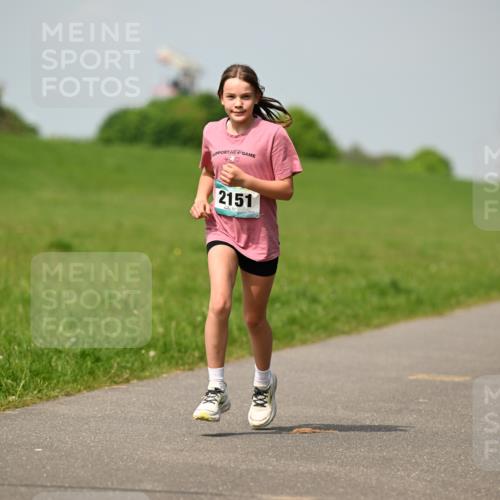 10.05.2026 - 8. Wedeler Halbmarathon Dr. Thomas Lammeyer http://msf.ph/oto/9693754 10.05.2026 11:18:23 Laufen 2151 meine-sportfotos.de