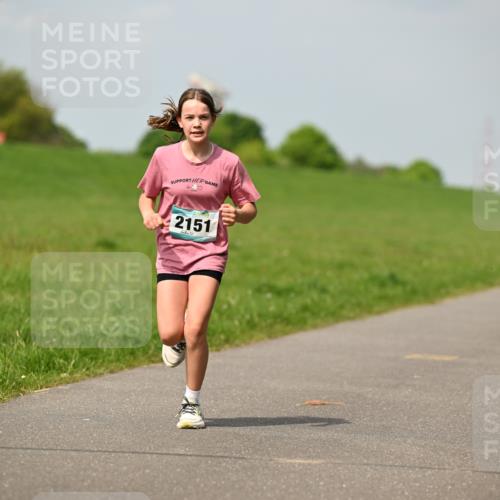 10.05.2026 - 8. Wedeler Halbmarathon Dr. Thomas Lammeyer http://msf.ph/oto/9693767 10.05.2026 11:18:24 Laufen 2151 meine-sportfotos.de
