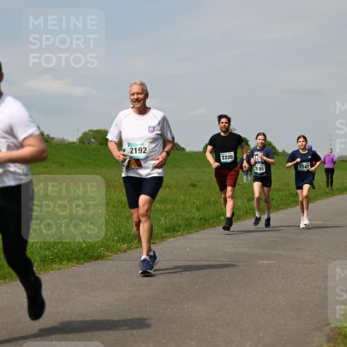10.05.2026 - 8. Wedeler Halbmarathon Dr. Thomas Lammeyer http://msf.ph/oto/9694176 10.05.2026 11:19:02 Laufen 2192, 2229, 2155, 2147 meine-sportfotos.de