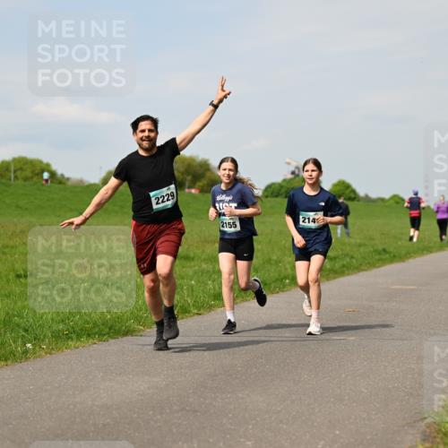 10.05.2026 - 8. Wedeler Halbmarathon Dr. Thomas Lammeyer http://msf.ph/oto/9694211 10.05.2026 11:19:04 Laufen 2229, 2155, 214 meine-sportfotos.de