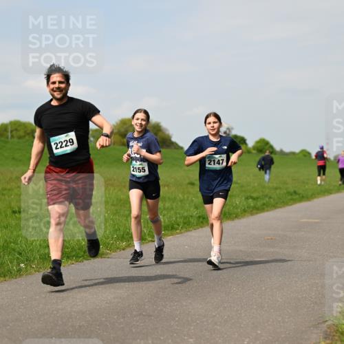 10.05.2026 - 8. Wedeler Halbmarathon Dr. Thomas Lammeyer http://msf.ph/oto/9694219 10.05.2026 11:19:05 Laufen 2229, 2155, 2147 meine-sportfotos.de