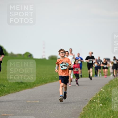 10.05.2026 - 8. Wedeler Halbmarathon Dr. Thomas Lammeyer http://msf.ph/oto/9695879 10.05.2026 11:22:25 Laufen 2079 meine-sportfotos.de