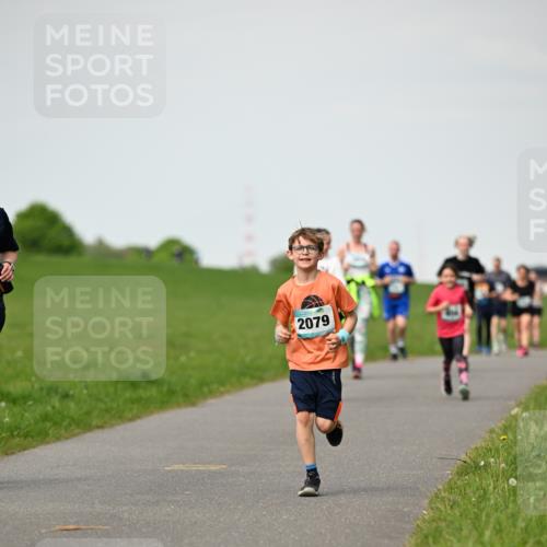 10.05.2026 - 8. Wedeler Halbmarathon Dr. Thomas Lammeyer http://msf.ph/oto/9695885 10.05.2026 11:22:26 Laufen 2079 meine-sportfotos.de