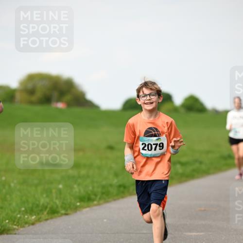 10.05.2026 - 8. Wedeler Halbmarathon Dr. Thomas Lammeyer http://msf.ph/oto/9695906 10.05.2026 11:22:29 Laufen 2079 meine-sportfotos.de