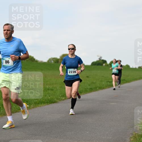 10.05.2026 - 8. Wedeler Halbmarathon Dr. Thomas Lammeyer http://msf.ph/oto/9696271 10.05.2026 11:24:03 Laufen 2239 meine-sportfotos.de