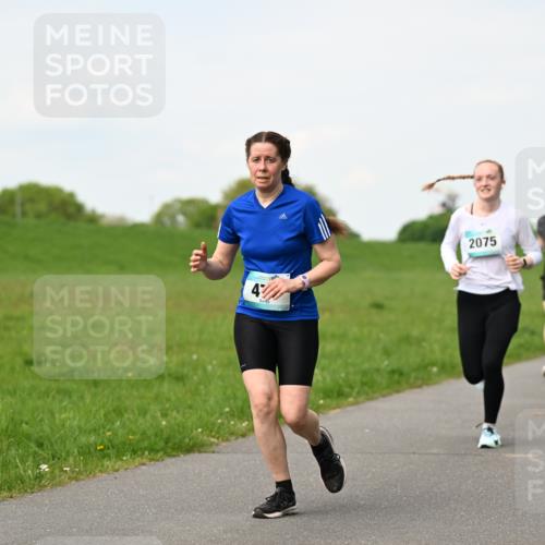 10.05.2026 - 8. Wedeler Halbmarathon Dr. Thomas Lammeyer http://msf.ph/oto/9696455 10.05.2026 11:24:49 Laufen 2075 meine-sportfotos.de