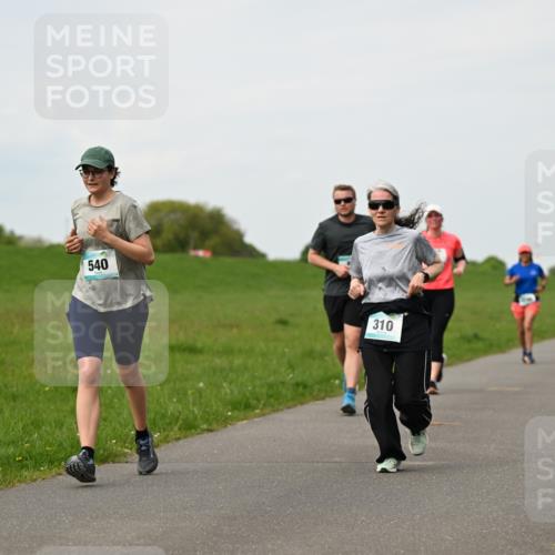 10.05.2026 - 8. Wedeler Halbmarathon Dr. Thomas Lammeyer http://msf.ph/oto/9697853 10.05.2026 11:30:47 Laufen 540, 310 meine-sportfotos.de