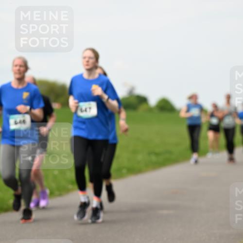 10.05.2026 - 8. Wedeler Halbmarathon Dr. Thomas Lammeyer http://msf.ph/oto/9698572 10.05.2026 11:33:36 Laufen 646, 647 meine-sportfotos.de