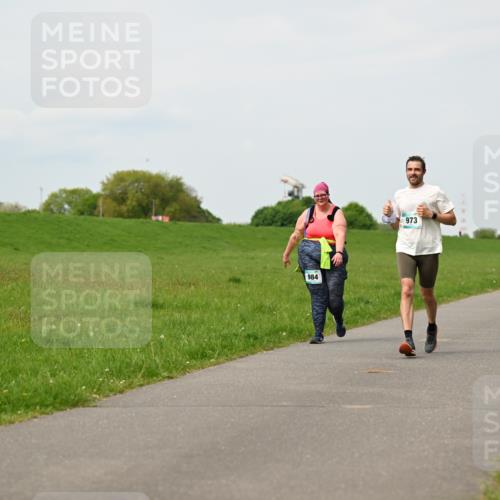 10.05.2026 - 8. Wedeler Halbmarathon Dr. Thomas Lammeyer http://msf.ph/oto/9698914 10.05.2026 11:35:11 Laufen 984, 973 meine-sportfotos.de