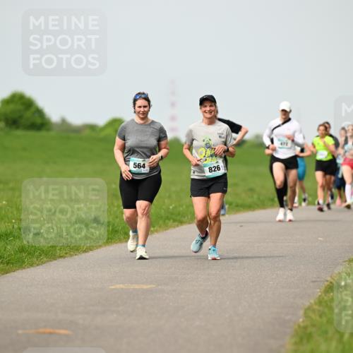 10.05.2026 - 8. Wedeler Halbmarathon Dr. Thomas Lammeyer http://msf.ph/oto/9699227 10.05.2026 11:36:27 Laufen 564, 826 meine-sportfotos.de