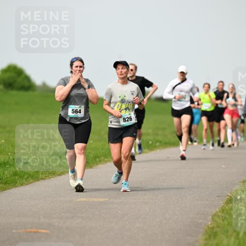 10.05.2026 - 8. Wedeler Halbmarathon Dr. Thomas Lammeyer http://msf.ph/oto/9699236 10.05.2026 11:36:29 Laufen 564, 826 meine-sportfotos.de