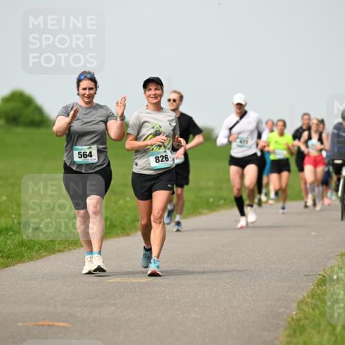 10.05.2026 - 8. Wedeler Halbmarathon Dr. Thomas Lammeyer http://msf.ph/oto/9699238 10.05.2026 11:36:29 Laufen 564, 826 meine-sportfotos.de