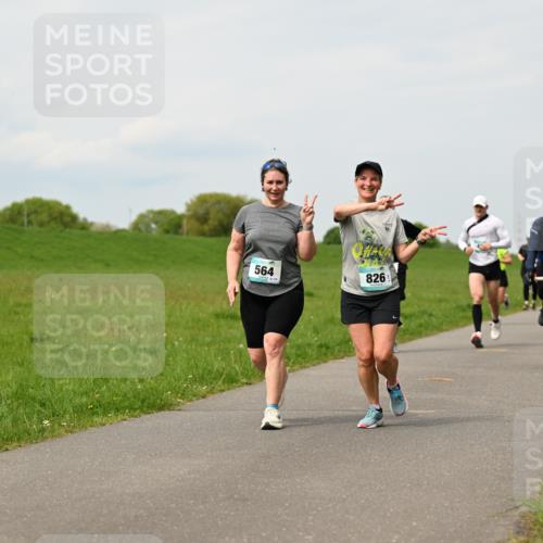 10.05.2026 - 8. Wedeler Halbmarathon Dr. Thomas Lammeyer http://msf.ph/oto/9699264 10.05.2026 11:36:34 Laufen 564, 826 meine-sportfotos.de