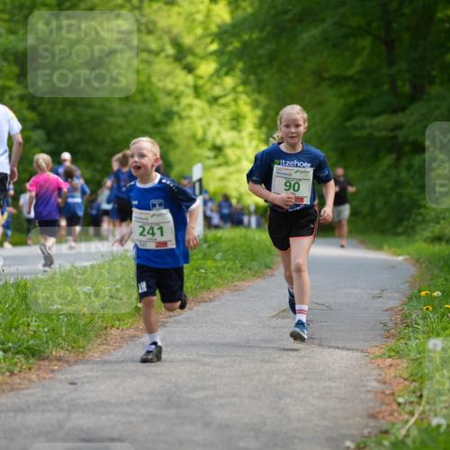 09.05.2026 - Störlauf LAZAROV Photography http://msf.ph/oto/9719815 09.05.2026 13:21:07 Laufen 241, 0, 90 meine-sportfotos.de