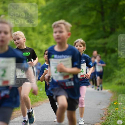 09.05.2026 - Störlauf LAZAROV Photography http://msf.ph/oto/9719838 09.05.2026 13:21:36 Laufen 82, 9, 2026, 4 meine-sportfotos.de
