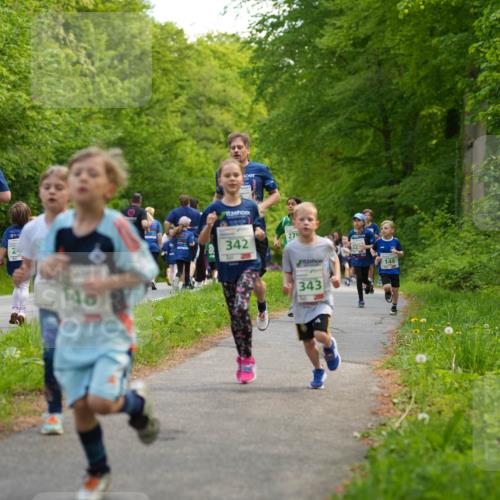 09.05.2026 - Störlauf LAZAROV Photography http://msf.ph/oto/9719850 09.05.2026 13:21:46 Laufen 26, 2, 148, 342, 279, 32, 343, 146 meine-sportfotos.de