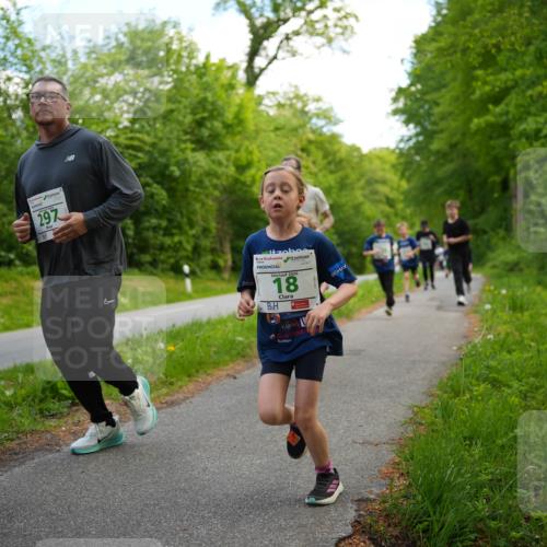 09.05.2026 - Störlauf LAZAROV Photography http://msf.ph/oto/9719902 09.05.2026 13:22:37 Laufen 297, 2026, 18 meine-sportfotos.de