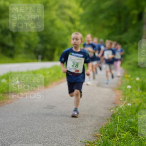 09.05.2026 - Störlauf LAZAROV Photography http://msf.ph/oto/9719908 09.05.2026 13:22:44 Laufen 28 meine-sportfotos.de