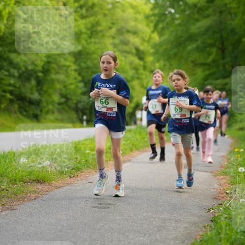 09.05.2026 - Störlauf LAZAROV Photography http://msf.ph/oto/9719911 09.05.2026 13:22:46 Laufen 66, 31, 69, 76 meine-sportfotos.de