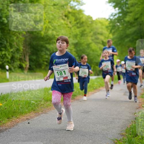 09.05.2026 - Störlauf LAZAROV Photography http://msf.ph/oto/9719932 09.05.2026 13:23:04 Laufen 5, 181, 210, 26 meine-sportfotos.de