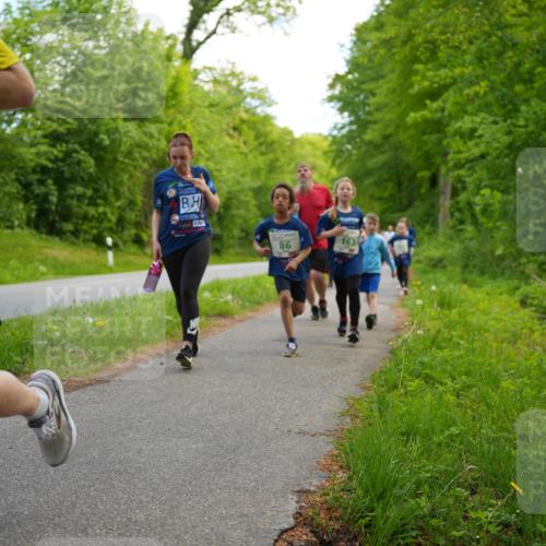 09.05.2026 - Störlauf LAZAROV Photography http://msf.ph/oto/9719959 09.05.2026 13:23:27 Laufen 86, 163 meine-sportfotos.de
