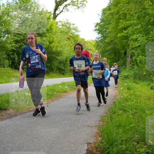 09.05.2026 - Störlauf LAZAROV Photography http://msf.ph/oto/9719960 09.05.2026 13:23:28 Laufen 86, 163 meine-sportfotos.de
