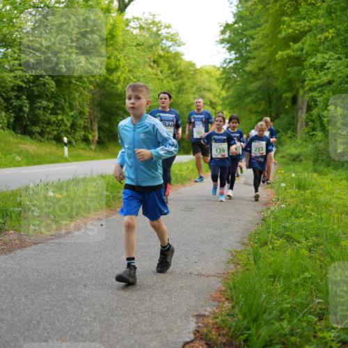 09.05.2026 - Störlauf LAZAROV Photography http://msf.ph/oto/9719962 09.05.2026 13:23:30 Laufen 183, 139, 253 meine-sportfotos.de