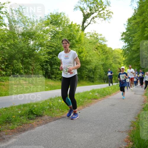 09.05.2026 - Störlauf LAZAROV Photography http://msf.ph/oto/9719968 09.05.2026 13:23:35 Laufen 23, 96 meine-sportfotos.de