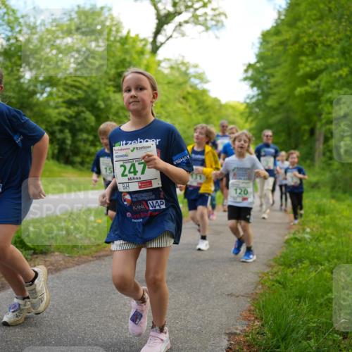 09.05.2026 - Störlauf LAZAROV Photography http://msf.ph/oto/9720017 09.05.2026 13:24:12 Laufen 171, 2026, 247, 120 meine-sportfotos.de